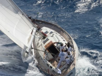 Rent a Sangermani course croisière Hyères