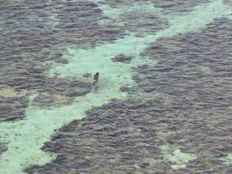 Fountaine Pajot Bahia 46 a louer à Nouméa