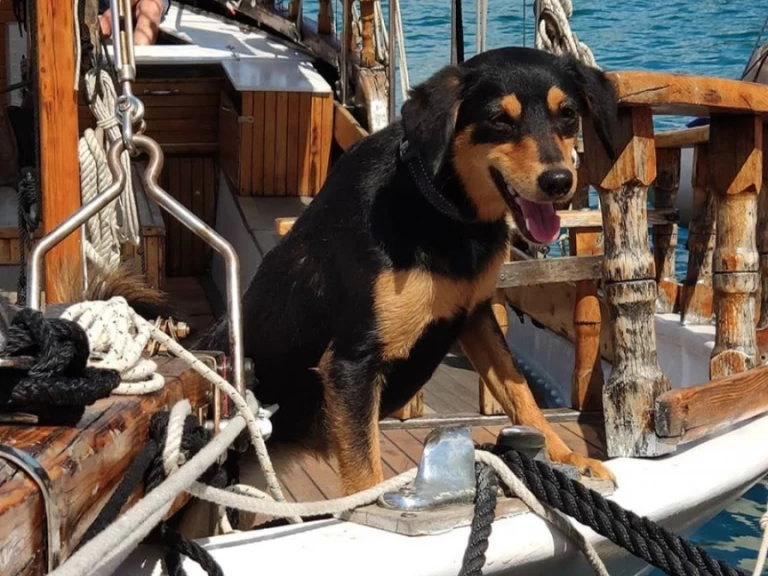 Location à Crikvenica - GAJETA EX-LIFEBOAT sur SamBoat