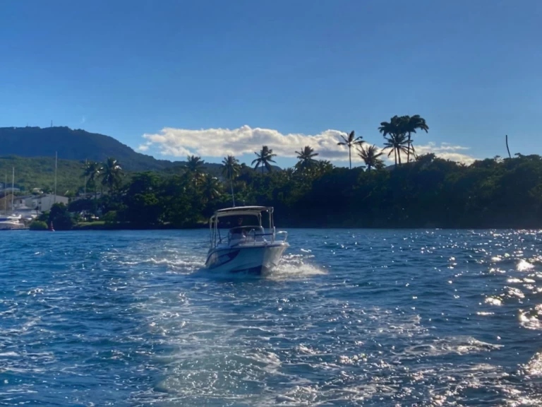 Location à Les Trois-Îlets - Lobster marion 7,3 sur SamBoat