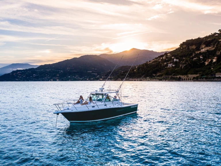 Location Bateau à moteur PURSUIT  avec permis