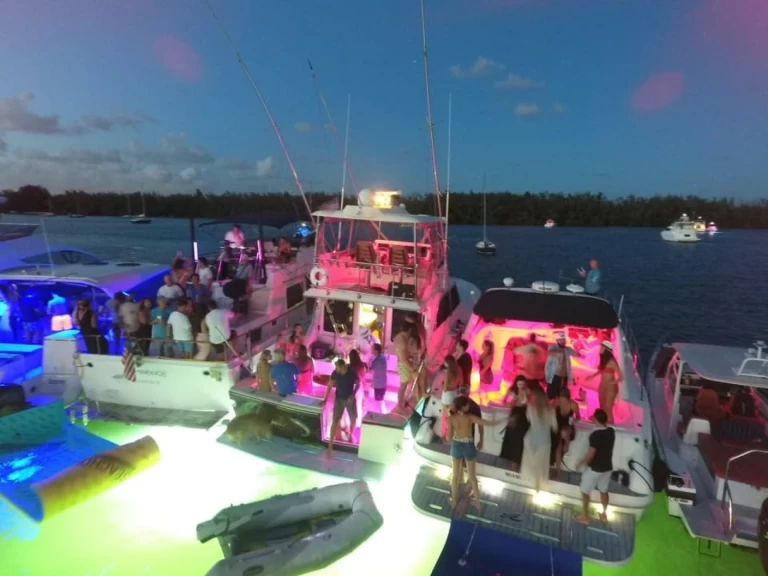 Location bateau Miami pas cher Sea Ray 410 Express Cruiser