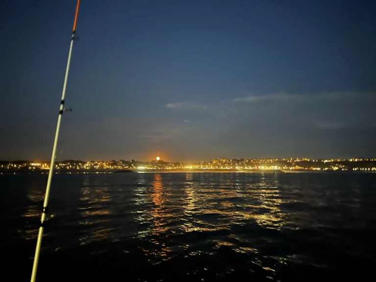 Location Bateau à moteur à Bayonne - Ultramar Ultra 515 Open