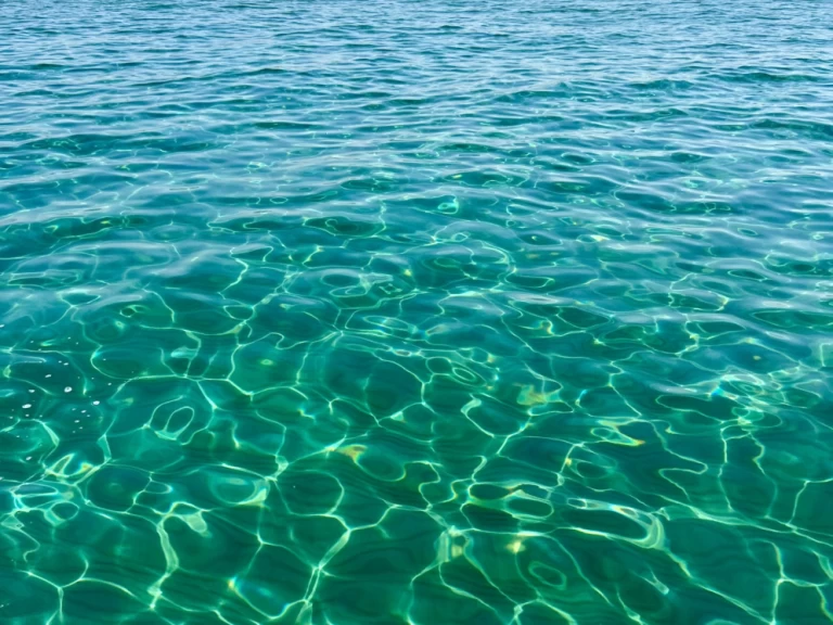 Location Bateau à moteur Sea Ray avec permis