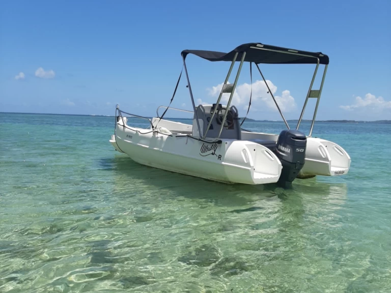 Location Bateau à moteur Whaly avec permis