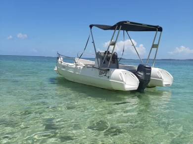 Hire Motorboat Whaly with a boat licence