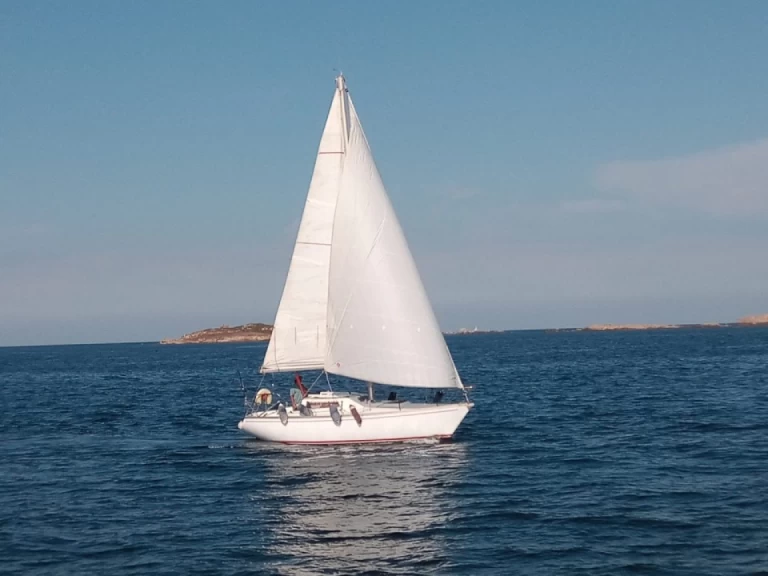 Barberis Sciacchetra a louer à Santa Teresa Gallura