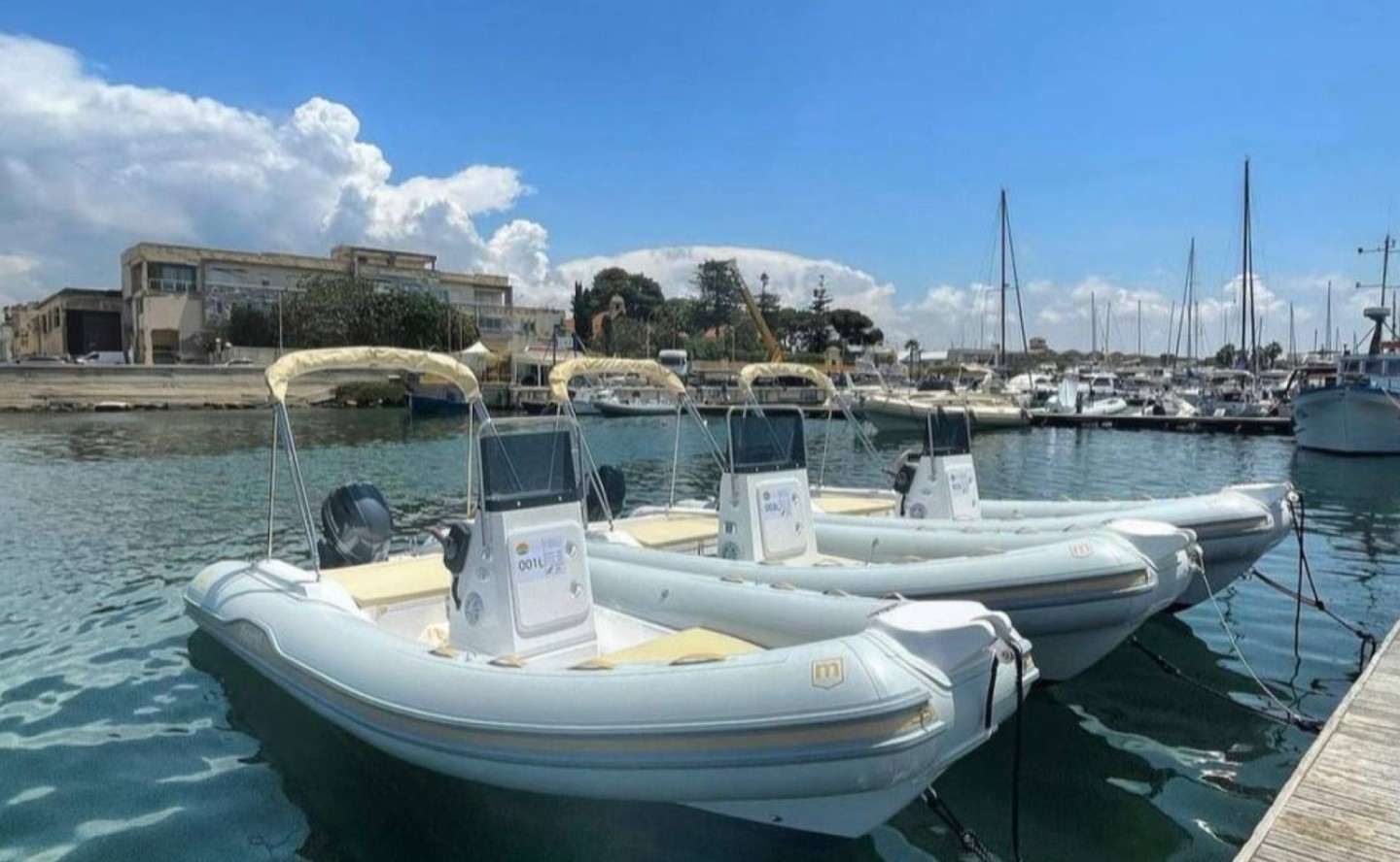 Location Semi-rigide Marel AL100 (AL100 - (001)) - Marsala | SamBoat