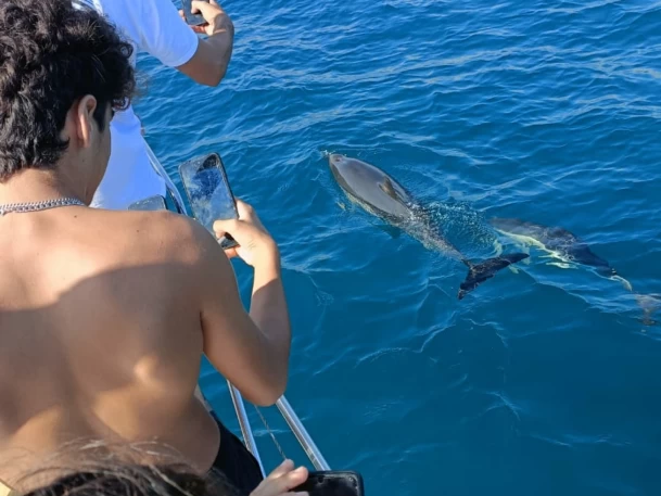 Voilier à louer à Fuengirola au meilleur prix