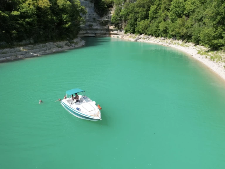 Louez un Chris Craft Concept 25 CC à La Tour-du-Meix