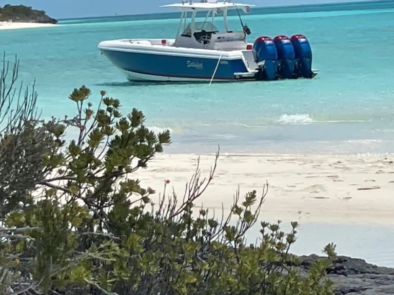 Location Bateau à moteur Intrepid avec permis