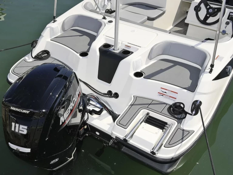 Location bateau Bayliner M17 à Aix-les-Bains sur Samboat