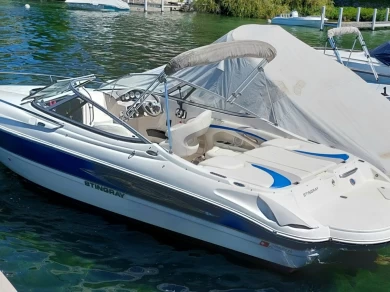 Noleggio Barca a motore a Genève (District) – Stingray 225cr