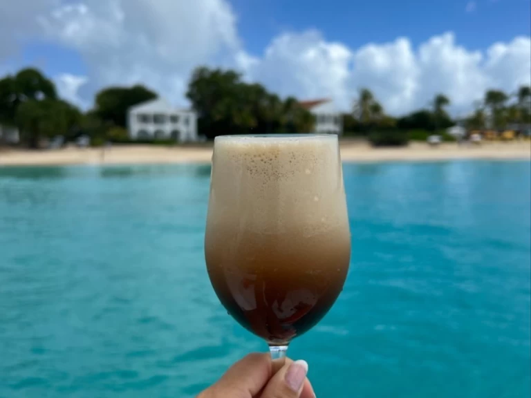 Location bateau Marigot pas cher Lavezzi 40 Maestro