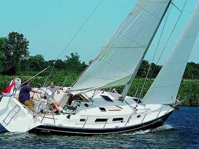 YachtCharter in Anzio - Hanse Hanse 341 auf SamBoat