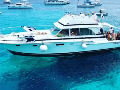 Rent a Motorboat Bertram 46.6 convertible in La Maddalena