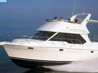Rent a Motorboat Bayliner Avanti 3488 Command Bridge in Çeşme