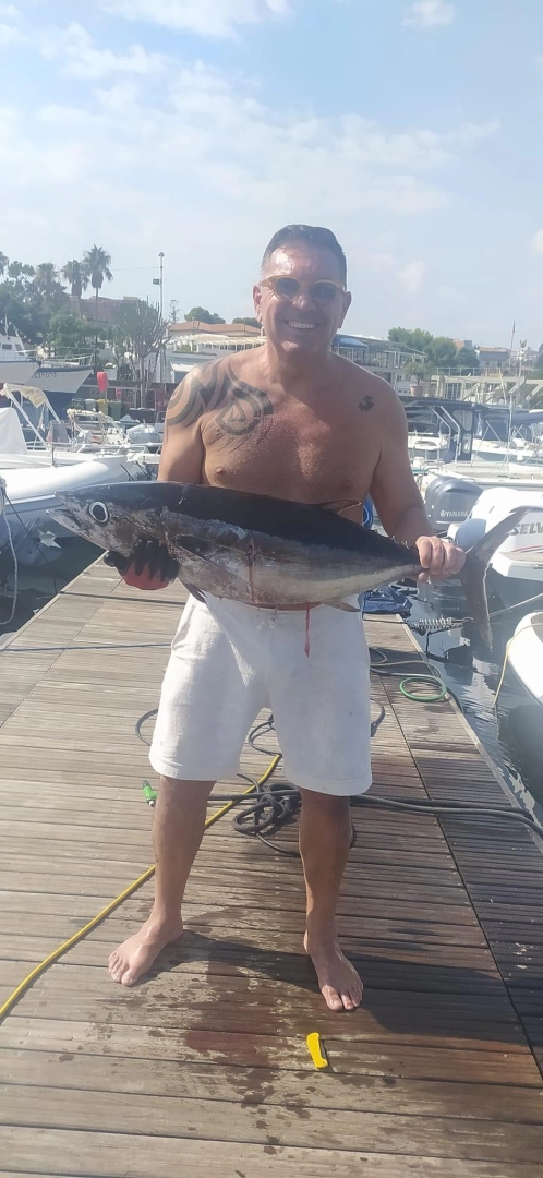 Location bateau Sealine Ambassador 360 à Ognina - Picanello - Barriera - Canalicchio sur Samboat