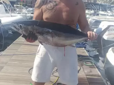 Location bateau Sealine Ambassador 360 à Ognina - Picanello - Barriera - Canalicchio sur Samboat