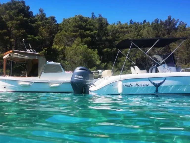 Location Bateau à moteur Fisher avec permis