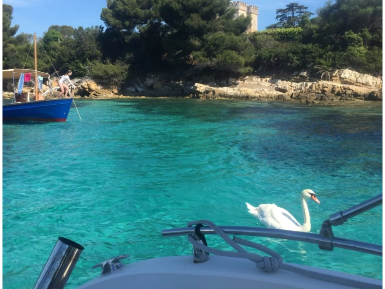 Chris Craft Sea Hawk 213 a louer à Cannes