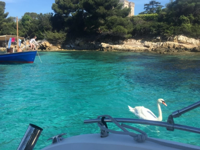 Ranieri Shadow 22 S a louer à Cannes