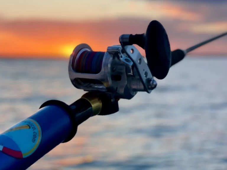Louer Semi-rigide avec ou sans skipper Perondi à Porto Cesareo (Port)