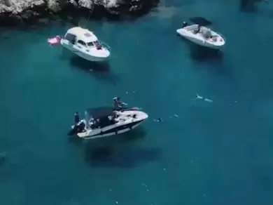 Location à Marseille - Quicksilver Activ 605 Open sur SamBoat
