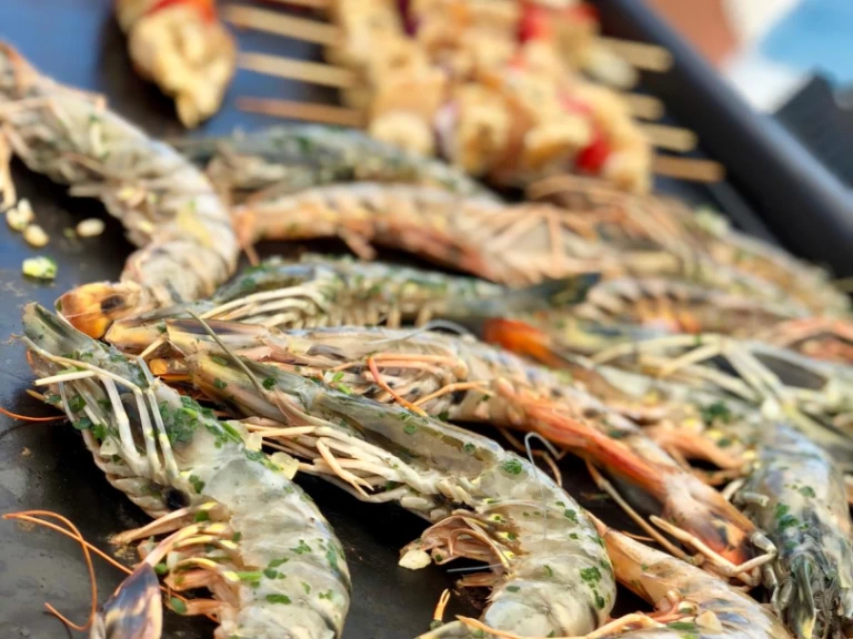 Location Catamaran Plan-Caroff avec permis