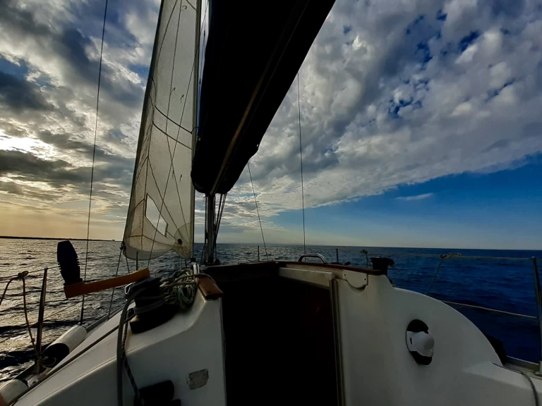 Location bateau Jeanneau Sun 2500 à Bisceglie sur Samboat