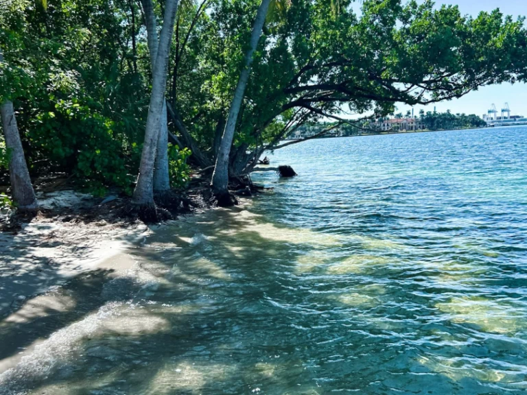 Sea Ray Sea Ray 270 Sundeck Outboard a louer à Miami