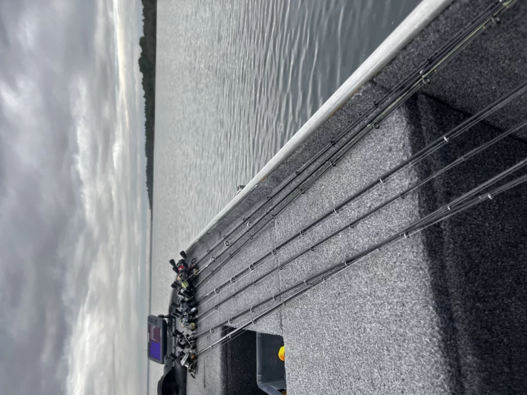 Location Bateau à moteur La Maltiere avec permis