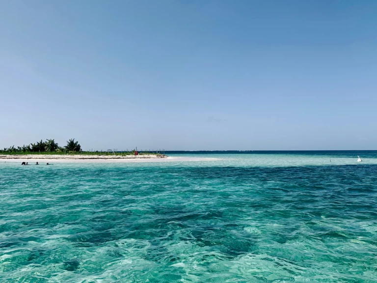 Semi-rigide à louer à Pointe-à-Pitre au meilleur prix