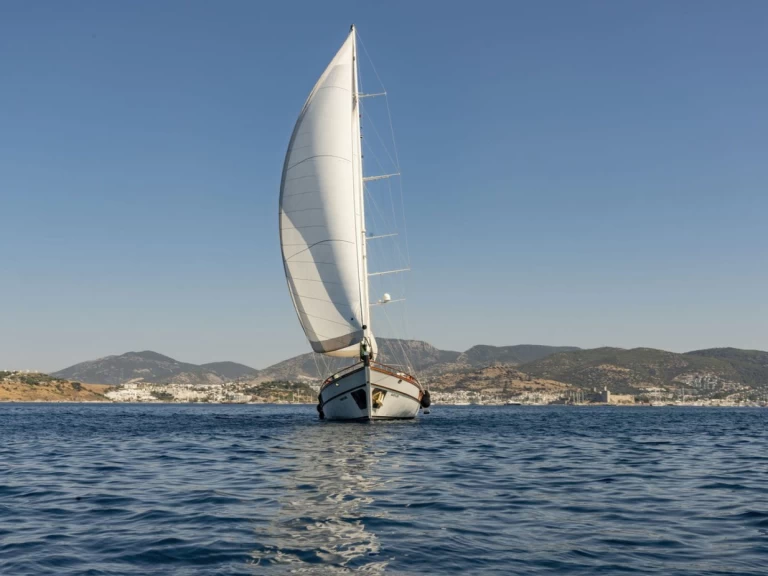 Location Voilier Custom Made avec permis