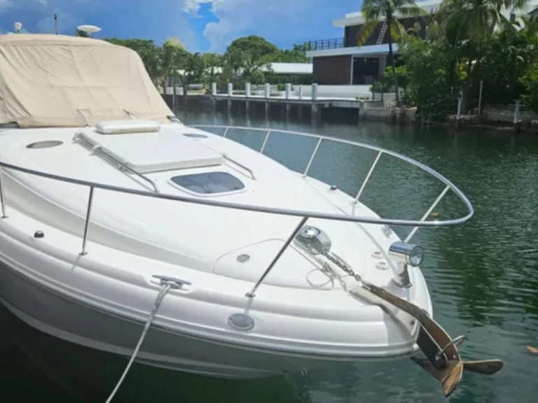 Location Bateau à moteur Sea Ray avec permis