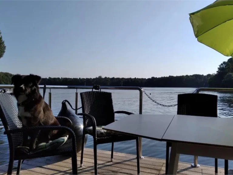 Motoryachten La Mare Apart M a louer à Wildau