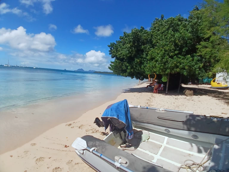 Location bateau Bavaria Bavaria 46 Cruiser à Le Marin sur Samboat