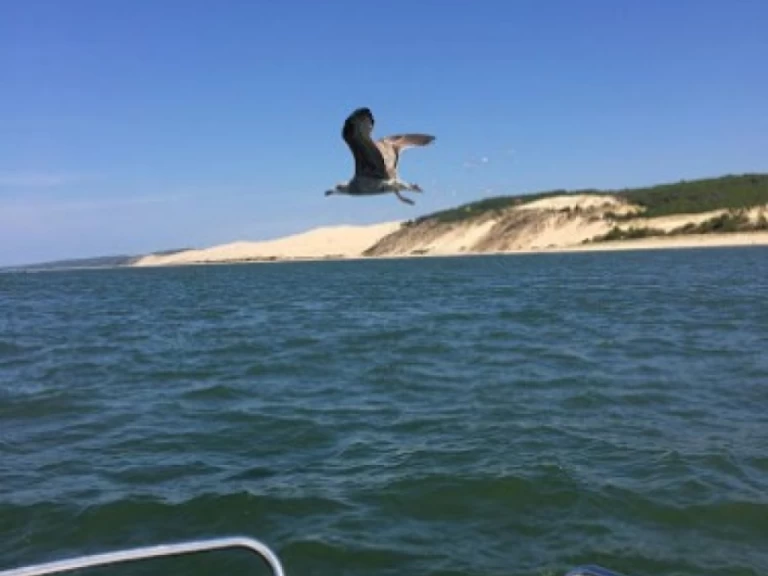 Location Bateau à moteur Bénéteau avec permis