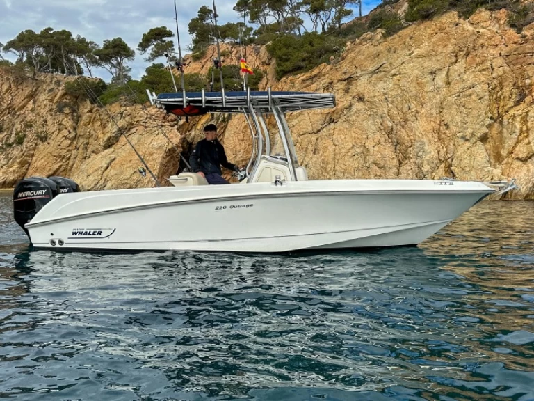 Location Bateau à moteur Boston Whaler avec permis
