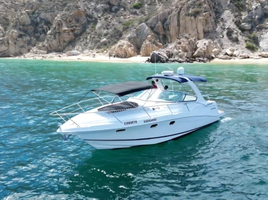 Luxury Yacht to hire Cabo San Lucas at the best price
