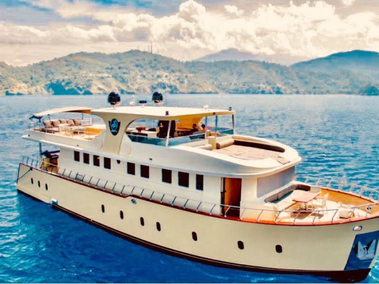 Other 4c22 a louer à Göcek