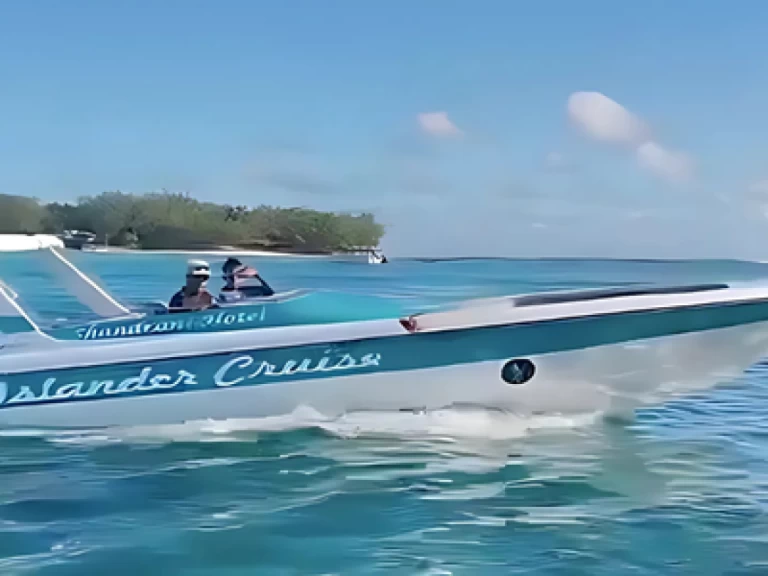 Louer Bateau à moteur avec ou sans skipper Cobra à Blue bay