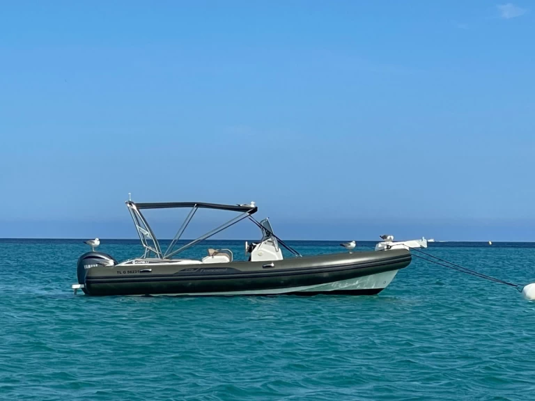 Location Semi-rigide à Port Grimaud - Capelli Tempest 775 SUN