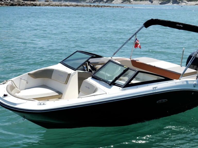 Location bateau Sea Ray Sea Ray 19 SPX OB à Anglet sur Samboat