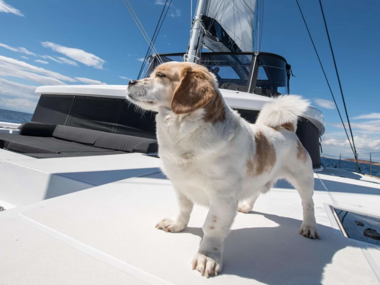 Yacht à louer à Lávrio au meilleur prix