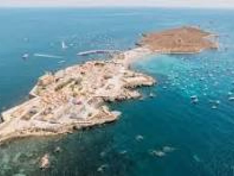 Location Bateau à moteur Searib's avec permis