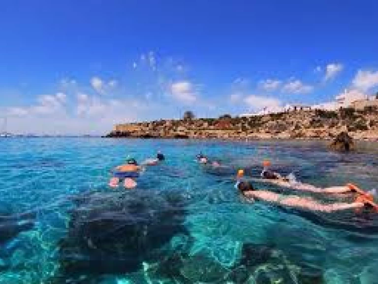 Location Bateau à moteur à Port d'Alicante - Searib's Searib's Open Fishing 580