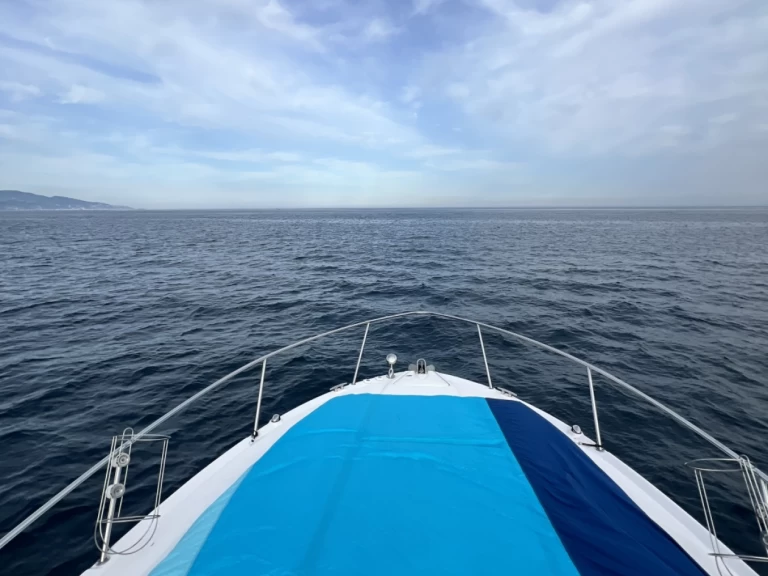 Location bateau Sea Ray Sea Ray 335 Sundancer à Monaco sur Samboat