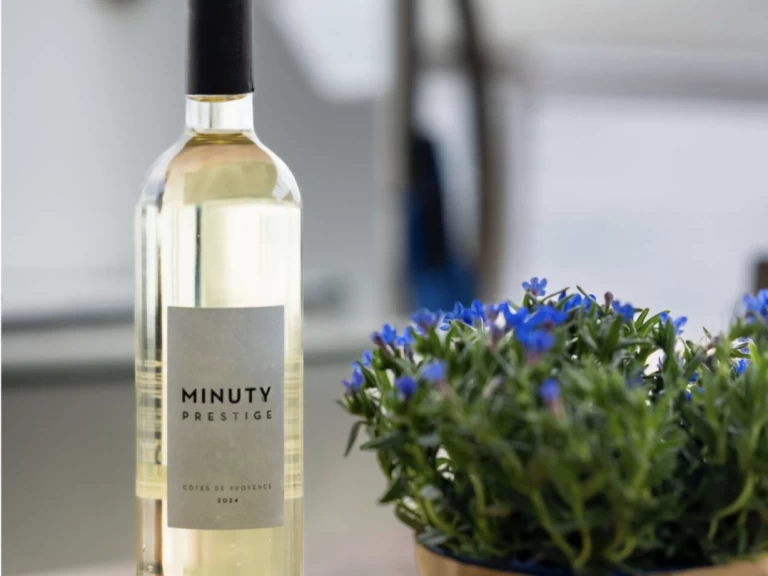 Location Catamaran Lagoon avec permis