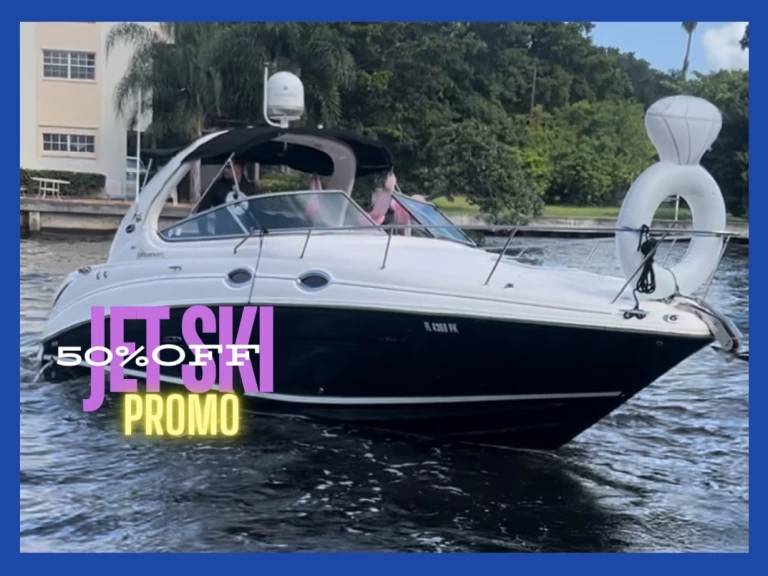 Location Bateau à moteur Sea Ray avec permis